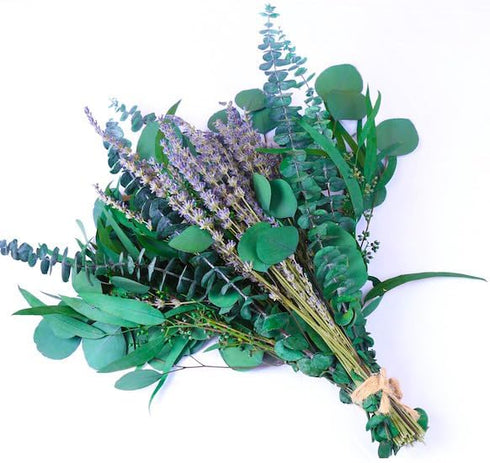 2 Bundles Dried Eucalyptus & Lavender Flowers for Shower, 100 pcs 17'' Natural Real Hanging Silver Dollar Eucalyptus Leaves Stems,Fresh Shower Pla...