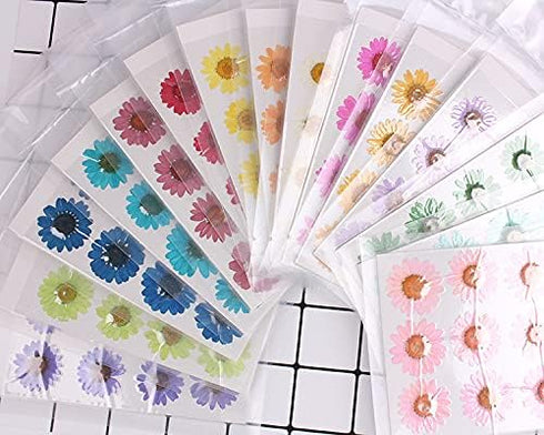 60Pcs White Dried Daisy Pressed Flowers - YouthBro 60Pcs Real Nature Flowers Set for Resin DIY Jewelry Candle Soap Vase Making Nail Card Scrapbook...
