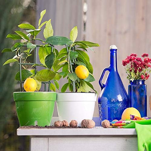 7.9 Inch Self Watering Planter - Modern Flower Pot with Water Level Indicator for All House Plants, Flowers, Herbs (Diameter 7.9 inch, Shade/White...