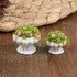4 Pcs Dollhouse Potted Plants,Miniature Artificial Plant Bonsai,Mini Flowerpot,Miniature Dollhouse Kit,Doll House Mini Plant,for 1:12 Dollhouse De...