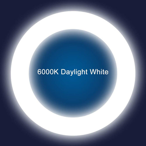 T9 LED Circline Light Bulb, 8 Inch 1600LM LED Circular Light, 13W Clear Cover 6000K Daylight Replacement for FC8T9/CW 22-Watt Fluorescent Circular...
