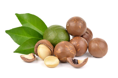 US Organic Macadamia Nut Oil Unrefined Virgin, Certified Organic, Pure & Natural, Cold Pressed, Sourced in Kenya, in Amber Glass Bottle w/Glass Ey...