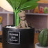 Groot Flower Pot with Hole, Planter Pot for Succulent, Air Plants, Pen Holder with Miniature Fairy Garden Sitting Groot (Flower Model)...