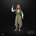 STAR WARS The Black Series Princess Leia (Ewok Village) Toy 6-Inch-Scale Return of The Jedi Collectible Figure Kids Ages 4 and Up...