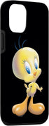 iPhone 12/12 Pro Looney Tunes Tweety Bird Airbrushed Case...