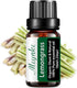 Lemongrass Essential Oils Plant & Pure Jasmine Oil for Diffuser, Humidifier,Perfume, Bath-10ml...