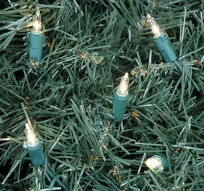 Novelty Lights 10 Light Clear Christmas Craft Mini Light Set, Green Wire, 4' Long...