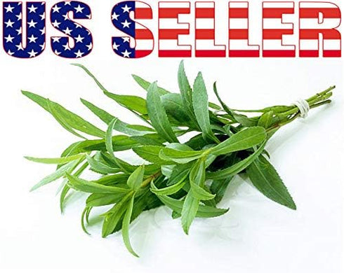 1000 Mixed Herb Seeds Heirloom Non-GMO 12 Varieties This is a Mix! Thyme Oregano Sage Tarragon Marjoram Summer Savory Basil Italian Greek Thai Dwa...