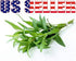 1000 Mixed Herb Seeds Heirloom Non-GMO 12 Varieties This is a Mix! Thyme Oregano Sage Tarragon Marjoram Summer Savory Basil Italian Greek Thai Dwa...