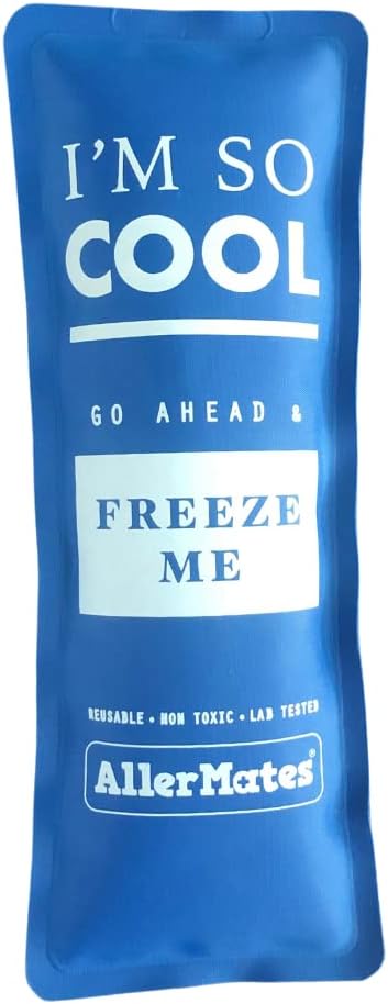 AllerMates Long Lasting Ice Gel Pack for Children's Medium Medicine Cases...