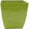 The HC Companies 8 Inch Aria Square Self Watering Planter - Plastic Plant Pot for Indoor Outdoor Plants Flowers Herbs, Glossy Green...