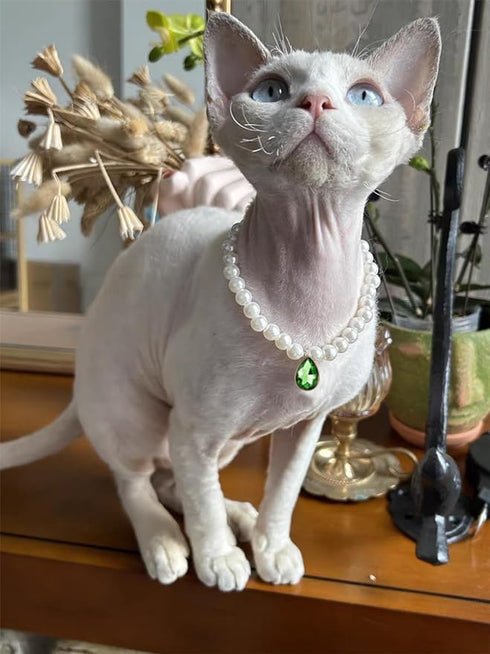 Pearl Cat Collar Dog Collar Rhinestone Necklaces for Small Dogs Collar Accessories Pet Collar (Green Drop Shape, Small)...