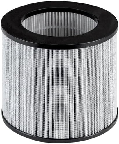 Bissell Replacement High Efficiency and Carbon Filter for The MyAir Personal Air Purifier, 2801...