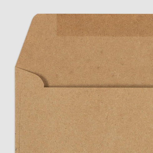 LUXPaper #10 Business Window Envelopes | 4 1/8" x 9 1/2" | Grocery Bag Brown | 70lb. Text | 50 Qty...