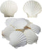 6PCS Scallop Shells for Serving Food,Baking Shells Large Natural White Scallops from Sea Beach for DIY Craft Decor 4-5 Inches...