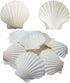 6PCS Scallop Shells for Serving Food,Baking Shells Large Natural White Scallops from Sea Beach for DIY Craft Decor 4-5 Inches...