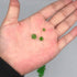 110 Pcs 8mm Moss Green Bicone Crystal Glass Beads for Jewelry Making...