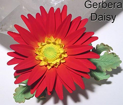 Daisy 12 Petal 4 Cutter Set by WSA...