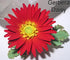 Daisy 12 Petal 4 Cutter Set by WSA...