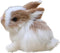 Mini Simulation Rabbits, Realistic Cute Plush Rabbits Lifelike Plush Bunny Realistic Rabbit Miniatures Cute Stuffed Animal Figurines, White Rabbit...
