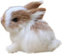Mini Simulation Rabbits, Realistic Cute Plush Rabbits Lifelike Plush Bunny Realistic Rabbit Miniatures Cute Stuffed Animal Figurines, White Rabbit...