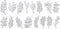 Leaves in 16 Shape Metal Cutting Dies Stencil Template Molds, Embossing Tool Die Cuts for Card Making Album Paper Scrapbooking DIY Etched Dies Cra...