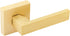 EHOMEWARE 1 Pack Heavy Duty Dummy Door Handle Interior Lever Set, Single Sided Gold Door Knob for Interior Doors, Right/Left Handing...