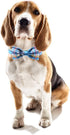 Unique style paws Plaid Dog Collar with Bow Pet Gift Adjustable Soft and Comfy Bowtie Collars for Small Medium Large Dogs (XS)...