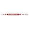 Musgrave Pencil Co MUS2204D 1st Graders are #1 Motivational Art and Craft Pencil...