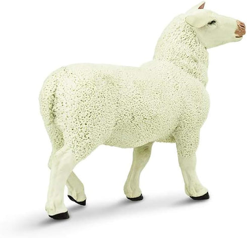 Safari Ltd. Ewe Figurine - Lifelike 3" Model Figure - Educational Toy for Boys, Girls, and Kids Ages 3+...