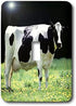 3dRose lsp_624_1 Holstein Cow Single Toggle Switch...