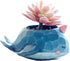 Cute Resin Whale Meaty Pot by SWONVI, Succulent Pots with Drainage Resin Mini Flower Pot Garden Plants Vase Desk Flower Decoration (Whale)...