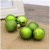 lasenersm 24 Pieces Small 1.18"/3cm Shatterproof Christmas Ball Ornaments Packed in Plastic Barrel Shatterproof Christmas Tree Balls Ornament use ...
