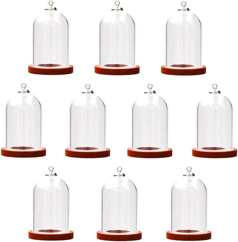10 Pieces Glass Dome with Wooden Base Glass Vial Pendant with Wood Hollow Glass Cabochons Charms (38x25mm Red Coffee)...