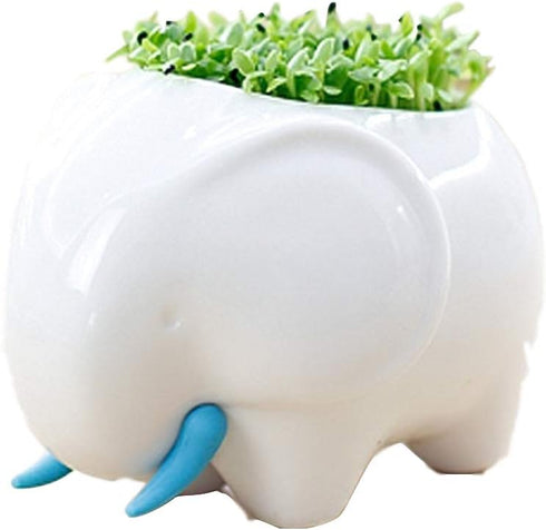 (TM New Decorative Elephant Design White Mini Ceramic Plant Flower Pot Succulent Planter w/Saucer (Elephant)...