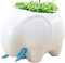 (TM New Decorative Elephant Design White Mini Ceramic Plant Flower Pot Succulent Planter w/Saucer (Elephant)...