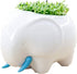 (TM New Decorative Elephant Design White Mini Ceramic Plant Flower Pot Succulent Planter w/Saucer (Elephant)...