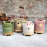 Succulent Pots,3.35 Inch Cute Animal Pig Shaped Indoor Flower Planters-Plants Not in Included...