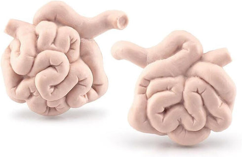 8 Piece Mini Human Organ Set Mini Human Body Model for Kids Mini Body Parts Sets 3D Human Anatomy Model Anatomy and Physiology Study Tools Student...