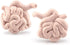 8 Piece Mini Human Organ Set Mini Human Body Model for Kids Mini Body Parts Sets 3D Human Anatomy Model Anatomy and Physiology Study Tools Student...