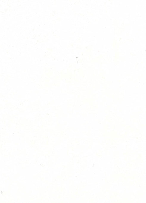 White Felt - White Wool Felt Giant Premium Sheet - 35% Wool Blend - DIY, Sewing, Crafting, Felting - National Nonwovens - 1 12x18 inch XXL White F...