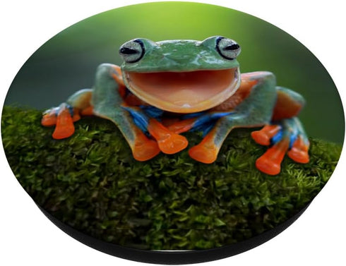 Frog Fun PopSocket: Green Frog Gift PopGrip for Phones & Tablets - Swappable Top, Adhesive Mount, Compatible with Most Cases...