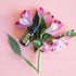 doTERRA - Lemongrass Essential Oil - 15 mL...