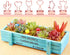 Cactus Binder Clips with Cute Rose Gold Medium Binder Clips in Acrylic Crystal Box for Office School and Home Supplies...