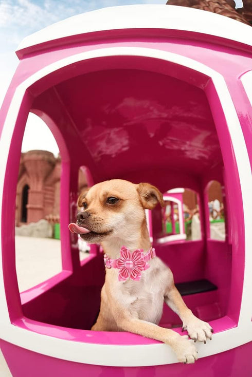 Lionheart Glory Dog Collar, Pink Dog Collar with Flower, Cute Floral Pattern Pet Collar Adjustable Dog Collar for Large Dogs...