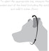Dog Chain Collars (Made in USA) 304 Stainless Steel Metal Chew Proof Dog Necklace Anti Winding Dog Leash Extension Lead for Small Medium Large and...