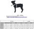 Rhinestone Dog Collar and Leash Set,Cute Dazzling Sparkling Fun Soft Suede Leather Cat Collars Crystal Diamond Pet for XXS XS Small Medium Puppy K...
