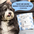 Spot & Tango Sweet Potato Bites Dog Snacks - Single Ingredient, 100% Sweet Potato - Dehydrated Treats - Grain & Gluten-Free - USA-Made - for Small...