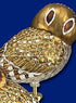 Old World Christmas Clip-on Pygmy Owl Bird Blown Glass Ornament 18067 Free Box...