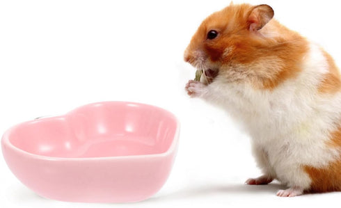 ULTECHNOVO Hamster Ceramic Food Bowl, 3pcs Hamster Food Bowl Small Cute Shape Food Dish for Hamster Rat Mice and Other Small Animals...